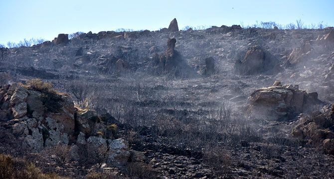 Bodrum'da 10 hektar yandı; yeşil siyaha büründü