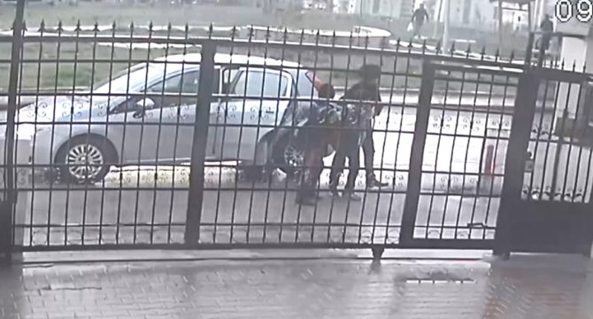 Köpeklerin zehirlenme görüntüleri ortaya çıktı 