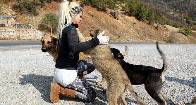 Şemdinli'de Eda öğretmenin köpek sevgisi