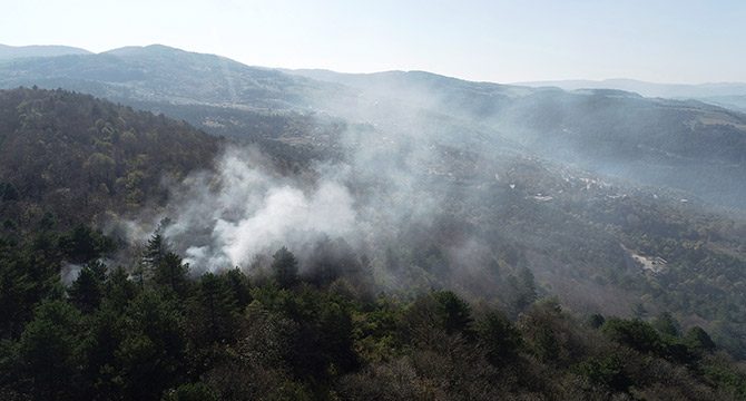 Bursa'daki orman yangınında 10 dönümlük alan zarar gördü