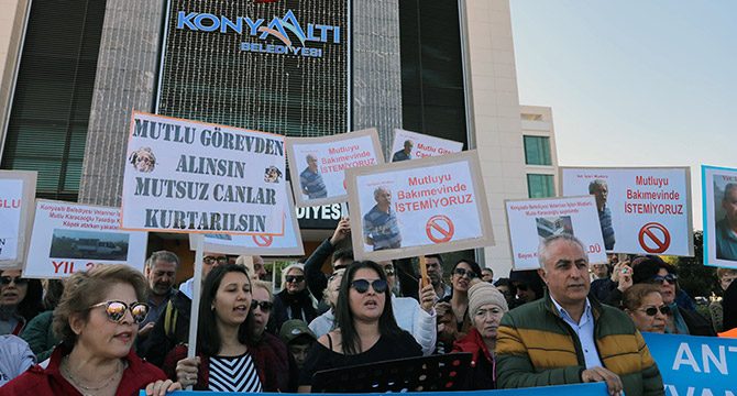 Hayvanseverin protesto ettiği müdür görevden alındı