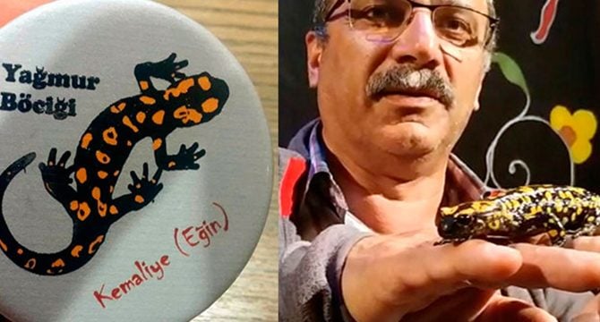 Anadolu benekli semenderi, Kemaliye'nin simgesi oldu