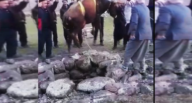 Su kuyusuna düşen ineği itfaiye kurtardı
