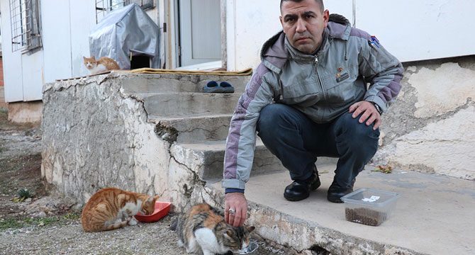 Beslediği 6 sokak kedisi bir ay içinde öldürüldü