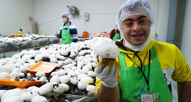 Engelli gençler mantar üretimine başladı, hedef 1.5 ton
