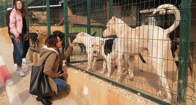 Tepki gösterdikleri barınağı ziyaret edip, hayvanları sahiplendiler
