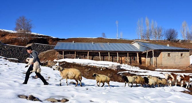 Muş'ta iki mevsim bir arada