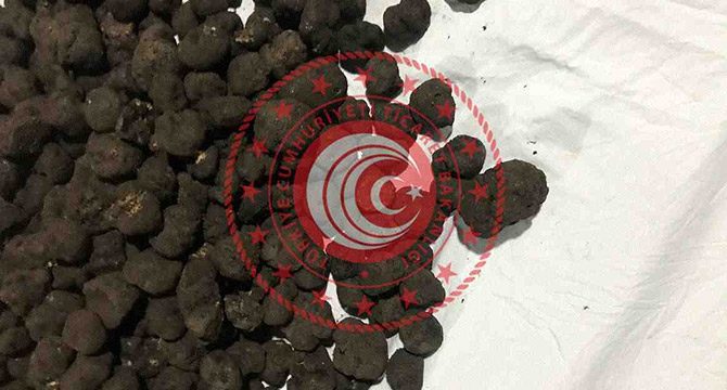 Trüf mantarına yine alıcı çıkmadı