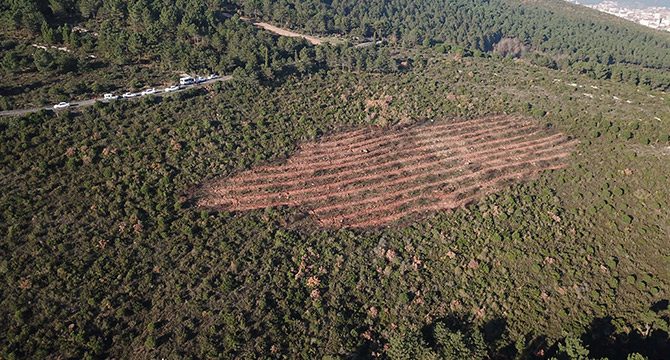 Aydos Ormanı'ndaki yangınla ilgili keşif yapıldı