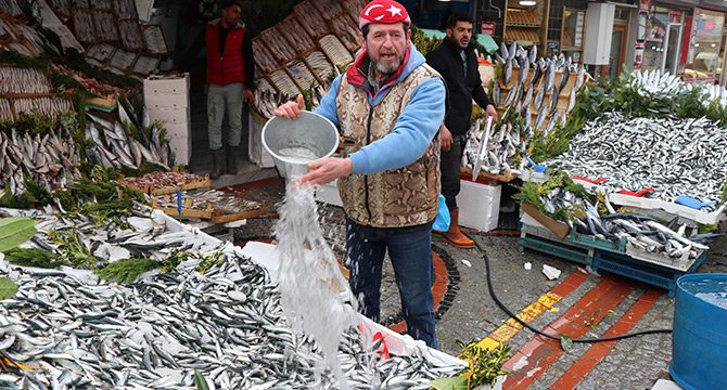 Edirne´de hamsinin alternatifi sardalya oldu