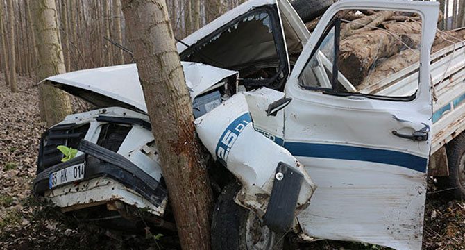 Yoldan çıkan kamyonet ağaca çarptı: 1 ölü, 2 yaralı