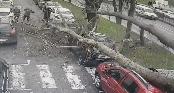 Fırtınada en çok merak edilen sorunun cevabı