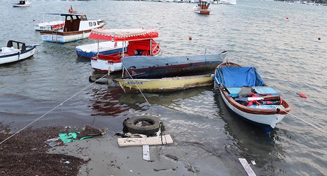 Foça'da fırtınada ağaçlar devrildi, tekneler battı