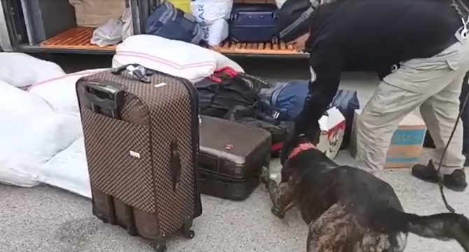 Yolcunun valizlerinden 10 kilo eroin çıktı