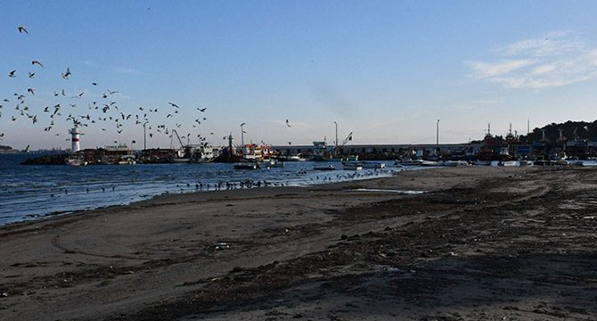 Tekirdağ'da deniz 30 metre çekildi