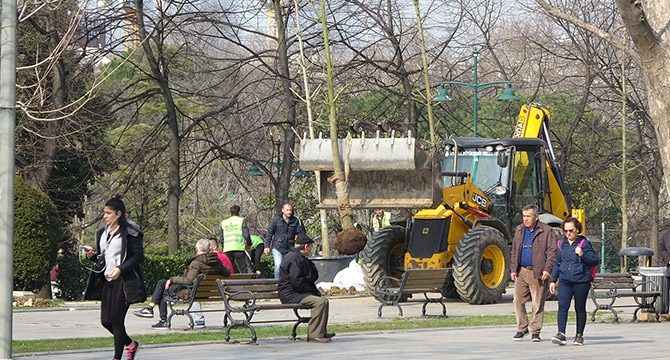Gezi Parkı'na 150 yeni ağaç dikiliyor