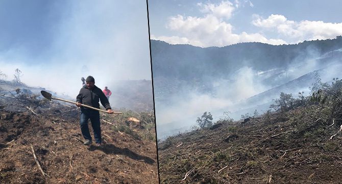 Burdur'da orman yangını: 50 hektar zarar gördü