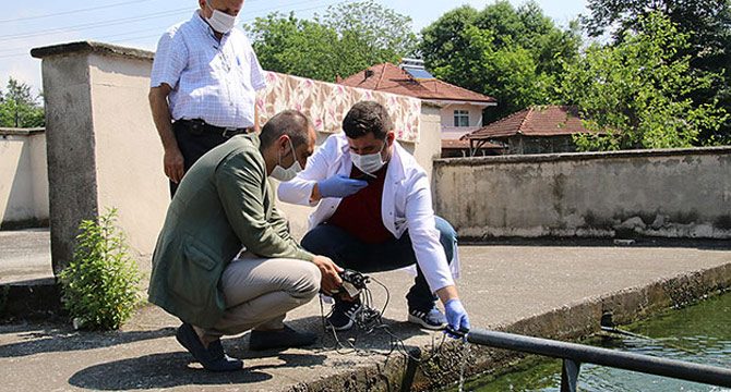 Suyun kokusunda yaşanan değişim, köylüleri endişelendirdi
