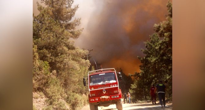 Çanakkale'de korkutan orman yangını