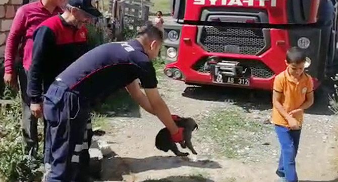Ağrı'da su kuyusuna düşen yavru köpeği itfaiye ekipleri kurtardı