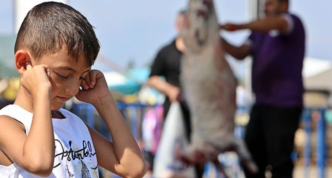 Psikoterapist Akbulut: Çocukların önünde kurban kesmek şiddete meyli artırır