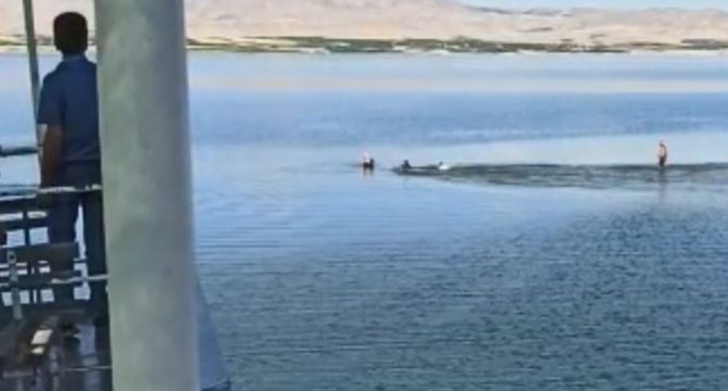 Feribot kaptanları boğulma tehlikesi geçiren yolcuyu kurtardı