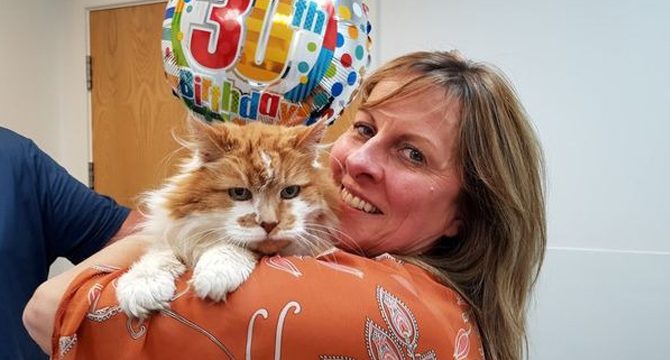 Dünyanın en yaşlı kedisi Rubble 31 yaşında öldü