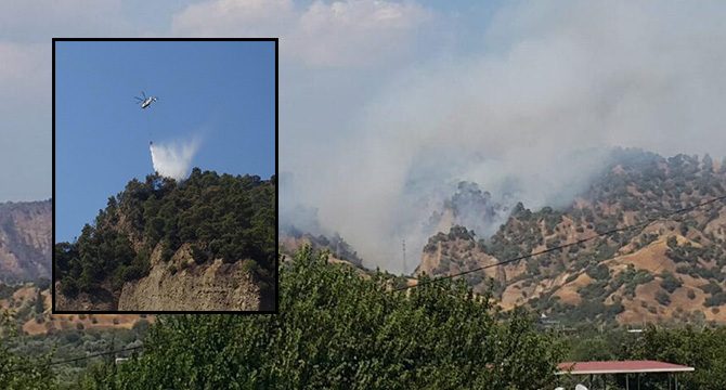 Aydın'da ağaçlık alandaki yangın, 40 saatte kontrol altına alındı