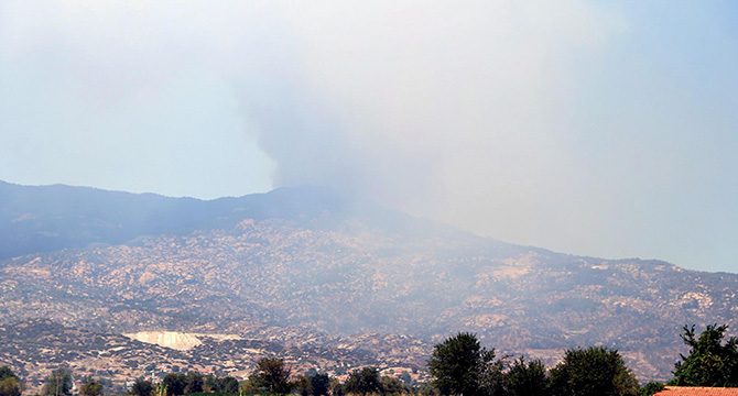 Aydın'da ormanlık ve makilik alanda yangın
