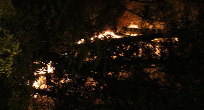Emirgan Korusu'nda işaret fişeğiyle yangın çıkartan şüpheliye jet hızıyla dava