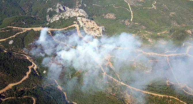 Menderes'teki orman yangınının şüphelisi tutuklandı