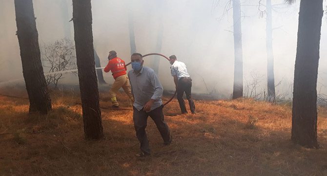 Kartal Aydos'ta ormanlık alanda yangın