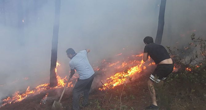 Maltepe'de ormanlık alanda yangın kontrol altına alındı