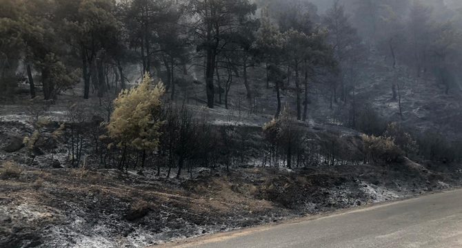 Manisa'daki orman yangınını söndürme çalışmaları sürüyor