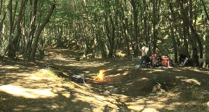 Yasaklı alanlarda yakılan mangallar ormanları tehdit ediyor