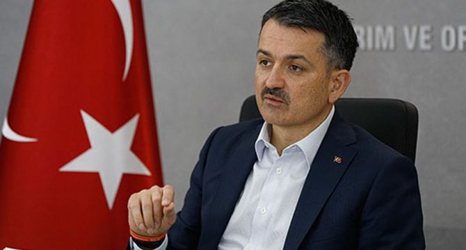Bakan Pakdemirli: Yağışların Trabzon, Rize ve Artvin'de akşama kadar sürmesini bekliyoruz