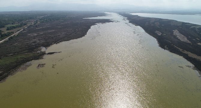 Kızılırmak Deltası'ndaki yangın, UNESCO sürecini etkilemeyecek