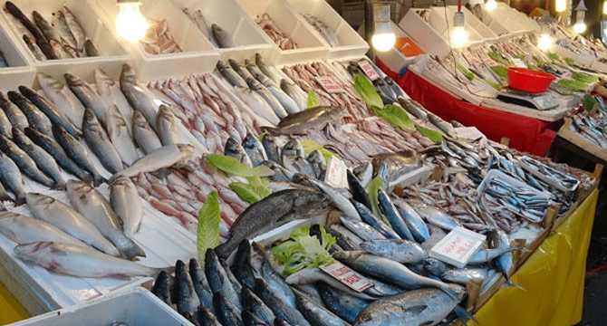 Balık bolluğu nedeniyle fiyatlar düştü