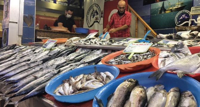 Karadeniz'de tezgahlar palamutla doldu; hamsi bekleniyor