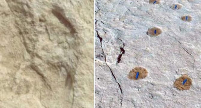 Suudi Arabistan’da 120 bin yıllık ayak izi keşfedildi