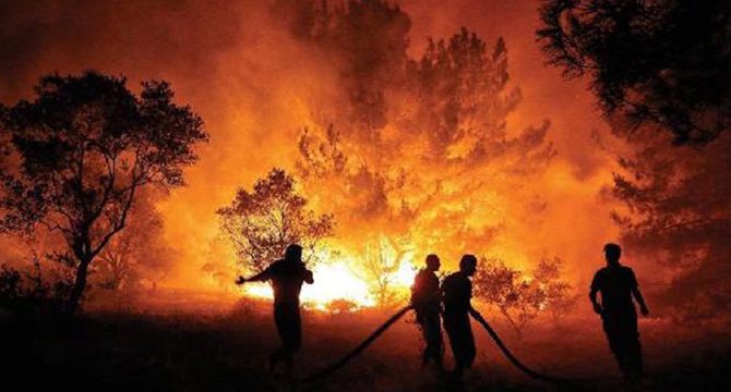 Bakan Pakdemirli: 11 orman yangınının 10'unu kontrol altına aldık