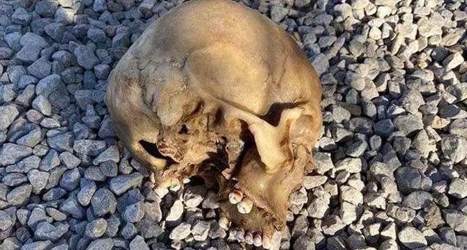 Ormandaki kafatası, cinayeti aydınlattı