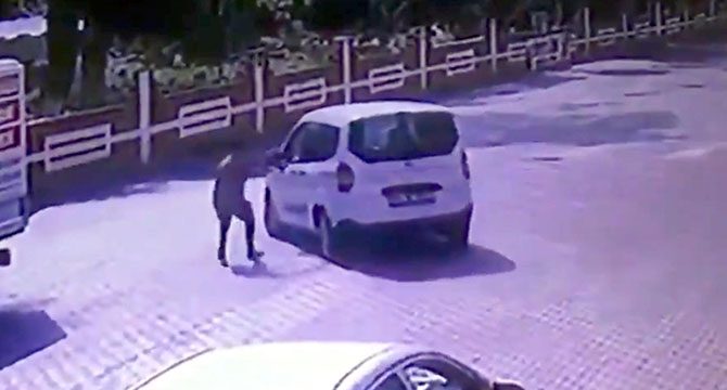 Hareket eden aracın önüne geçip duvara çarpmasını önledi