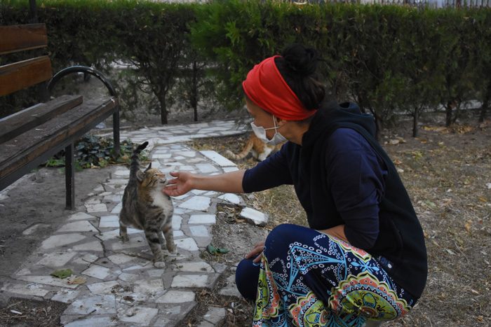 Kedilerin zehirlenmesine tepki: İzmir'de kurtarılan hayvanlar, burada öldürülüyor