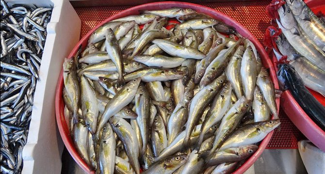 Balık fiyatlarının ateşi düşmedi