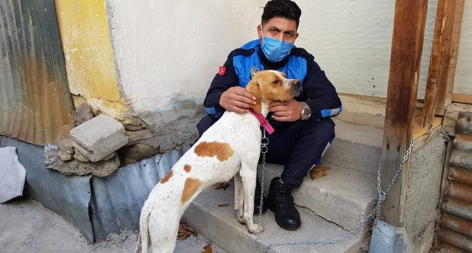Şiddet gören köpeği zabıta görevlisi sahiplendi