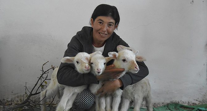 Devlet desteği hayatını değiştirdi, köy kadınlarına örnek oldu