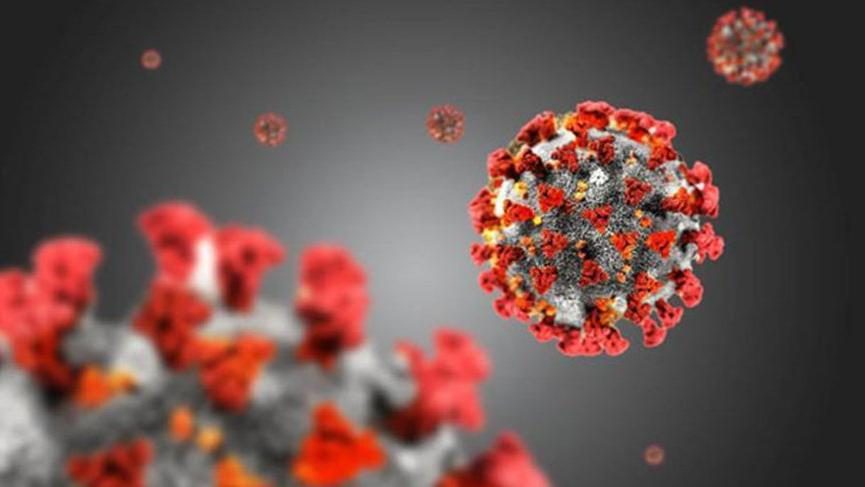Pandemi küresel savaş gibi: 1 milyon 309 bin 408 kişi öldü