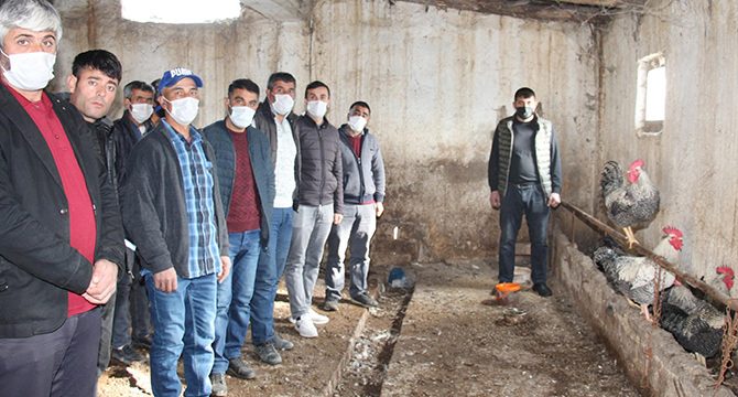 Erzurum'da dolandırılan 30 besicinin ahırında, horoz ve tavuklar kaldı