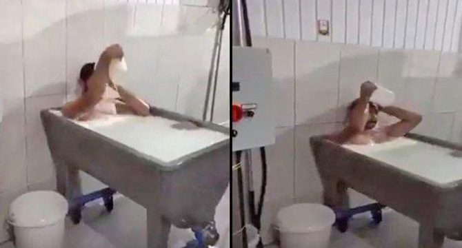 Skandal görüntü: Süt kazanına girip banyo yaptı